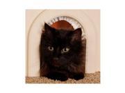 Cathole Chwm Pet Door For Cats With Removeable Brush