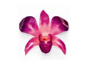 Lacquer Dipped Purple Pink Dendrobium Orchid Pin