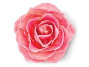Lacquer Dipped Pink Rose Blossom Pin