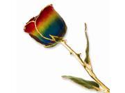 Lacquer Dipped Gold Trim Rainbow Rose