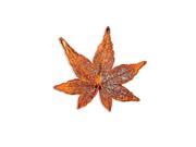 Iridescent Copper Dipped Japanese Maple Leaf Pin