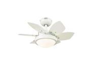 Westinghouse Quince Two Light 24 Inch Reversible Indoor Ceiling Fan 7247100