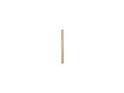 Fanimation 60 Extension Pole Rust EP60RS