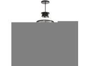 Dainolite 4 Light 40 Dainolite 4 Light 40