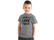 Youth I Really Love Cats Crazy Cat Lover Funny Animal T shirt Grey S