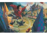 Harry Potter - Quidditch Poster Print (22 x 34)