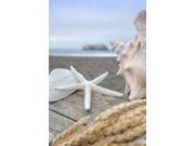 Crescent Beach Shells 12 Poster Print by Alan Blaustein (24 x 36) Crescent Beach Shells 12 Poster Print by Alan Blaustein (24 x 36)