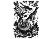 Sparrows & Nest Nline Engraving English 1936 After Agnes Miller Parker Poster Print by (18 x 24) Sparrows & Nest Nline Engraving English 1936 After Agnes Miller Parker Poster Print by (18 x 24)