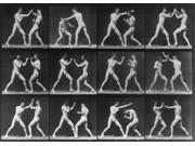 Muybridge Locomotion Men Boxing 1887 Poster Print by Science Source (24 x 18) Muybridge Locomotion Men Boxing 1887 Poster Print by Science Source (24 x 18)