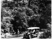Australia Forest C1910 NOn The Tumut To Bega Route New South Wales Australia C1910 Poster Print by (18 x 24) Australia Forest C1910 NOn The Tumut To Bega Route New South Wales Australia C1910 Poster Print by (18 x 24)