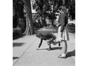 Hopscotch 1942 Na Chinese-American Girl Playing Hopscotch With Her Jewish Friend Outside Her Home In Flatbush Brooklyn New York Photograph By Marjory Collins 19 Hopscotch 1942 Na Chinese-American Girl Playing Hopscotch With Her Jewish Friend Outside Her Home In Flatbush Brooklyn New York Photograph By Marjory Collins 19