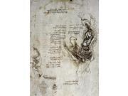 Leonardo Da VinciNdrawing Of The Human Sexual Organs Poster Print by (18 x 24) Leonardo Da VinciNdrawing Of The Human Sexual Organs Poster Print by (18 x 24)