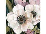 Anemone Study I Poster Print by Carol Robinson (12 x 12) Anemone Study I Poster Print by Carol Robinson (12 x 12)