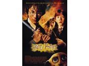 Harry Potter and the Chamber of Secrets Movie Poster (27 x 40)