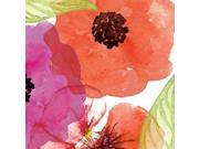 Vibrant Floral IV Poster Print by Tammy Apple (24 x 24) Vibrant Floral IV Poster Print by Tammy Apple (24 x 24)