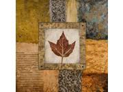 Fallen Leaf I Poster Print by Michael Marcon (12 x 12) Fallen Leaf I Poster Print by Michael Marcon (12 x 12)