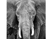 Elephant Poster Print by PhotoINC Studio (24 x 24) Elephant Poster Print by PhotoINC Studio (24 x 24)