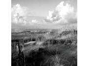 Dunes II Sq BW Poster Print by Alan Hausenflock (12 x 12) Dunes II Sq BW Poster Print by Alan Hausenflock (12 x 12)