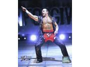 Shawn Michaels Action Photo Print (8 x 10) Shawn Michaels Action Photo Print (8 x 10)