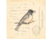 Bird II Poster Print by Stephanie Marrott (12 x 12) Bird II Poster Print by Stephanie Marrott (12 x 12)