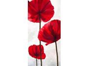 Reds III Poster Print by Luca Villa (24 x 48) Reds III Poster Print by Luca Villa (24 x 48)