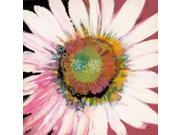 Sunshine Flower I Poster Print by Leslie Bernsen (24 x 24) Sunshine Flower I Poster Print by Leslie Bernsen (24 x 24)