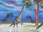 Brachiosaurus dinosaurs grazing on trees. Poster Print (32 x 24) Brachiosaurus dinosaurs grazing on trees. Poster Print (32 x 24)