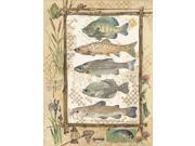 Fish Sampler Poster Print by Anita Phillips (18 x 24) Fish Sampler Poster Print by Anita Phillips (18 x 24)