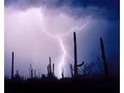 Electric Desert II Poster Print by Douglas Taylor (8 x 10) Electric Desert II Poster Print by Douglas Taylor (8 x 10)
