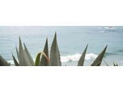 Spirit 2015 Poster Print by Alan Blaustein (8 x 24) Spirit 2015 Poster Print by Alan Blaustein (8 x 24)