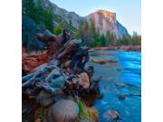 Tree roots in Merced River in the Yosemite Valley Poster Print by Anna Miller (27 x 27) Tree roots in Merced River in the Yosemite Valley Poster Print by Anna Miller (27 x 27)