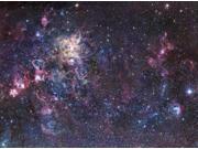 The Tarantula Nebula Poster Print (32 x 24) The Tarantula Nebula Poster Print (32 x 24)