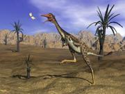 Mononykus dinosaur chasing a dragonfly in the desert Poster Print (32 x 24) Mononykus dinosaur chasing a dragonfly in the desert Poster Print (32 x 24)