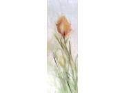 Tulip Breeze I Poster Print by Mike Calascibetta (12 x 36) Tulip Breeze I Poster Print by Mike Calascibetta (12 x 36)