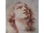 Study of a Head Looking Up Poster Print by Pietro Berrettini (12 x 12) Study of a Head Looking Up Poster Print by Pietro Berrettini (12 x 12)