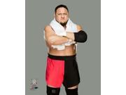 Samoa Joe 2016 Posed Photo Print (8 x 10) Samoa Joe 2016 Posed Photo Print (8 x 10)