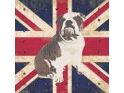 British Bulldog Poster Print by Sam Appleman (12 x 12) British Bulldog Poster Print by Sam Appleman (12 x 12)