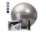 Dyna Pro Exercise Ball with Pump Silver 55cm Yoga Exercising Fitness Workouts Home or Gym Use