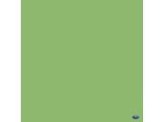 Savage 107 x 12yds Background Paper 46 Tech Green