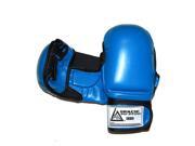 Gracie Jiu Jitsu Sparring Gloves Large Blue