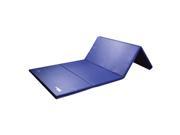 GSC 8 Ultimat Foam Gym Mat with 1 Panel and Fasteners on Ends Only