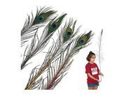 Peacock Juggling Feathers Set of 12