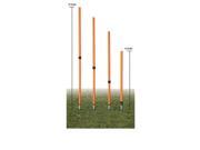 Champion Sports Adjustable Agility Pole Set of 4