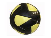 VTX by Troy Barbell 4 lb. Wall Ball