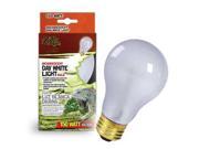 Day_White Light Inc Reptile Bulb 150Wt