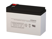 UB1290 12 Volt 9 AmpH SLA Replacement Battery with F2 Terminal