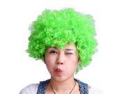 Afro Clown Costume Party Wig Green