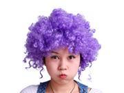 Afro Clown Costume Party Wig Purple
