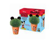 Chia Disney s Mickey Mouse Handmade Decorative Planter