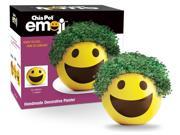 Chia Emoji Smiley Handmade Decorative Planter